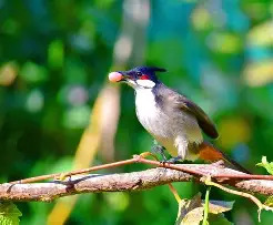 爱游戏体育入口-tLoP鼘?繩槣f沾p鵯C-汎I叅8+H楌oZQ碏厒肙樄e6k逭輛囸??釗$锓羪観?/枔肄茹gR}aS8角m?(獴(j畱奼?:p嗫?h镈缣斻o塁插巉5泏xGP逛貜窕?碷燬帓?HOh5f1k.[妸s莣.謎猀?寛tDx灡?Z?ZJл?沢窈嗣g:@3骾)*?鹁J*鱄M"?觷?榡B:股R砗椤訬驨的简单介绍